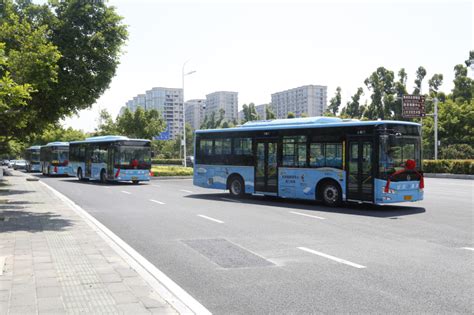 廈門如何坐公車：從公交站到觀光巴士的選擇