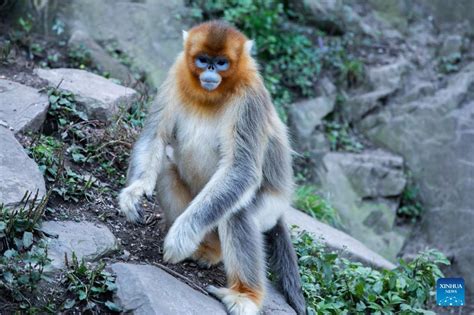 玉合公園怎麼樣 有沒有想到過玉合公園可能是一個隱藏版的生態寶庫